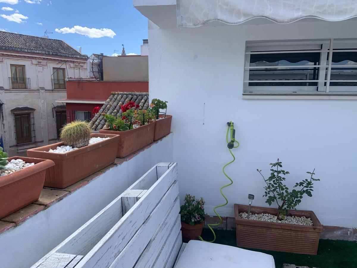 Lr2 Private Terrace & Parking Right In The City Center Seville Exterior photo